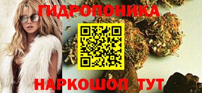 ECSTASY Рузаевка