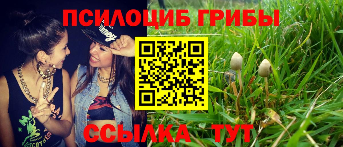 Галлюциногенные грибы мухоморы  хочу наркоту  Галлюциногенные грибы GOLDEN TEACHER  Полевской  Вход с VPN 