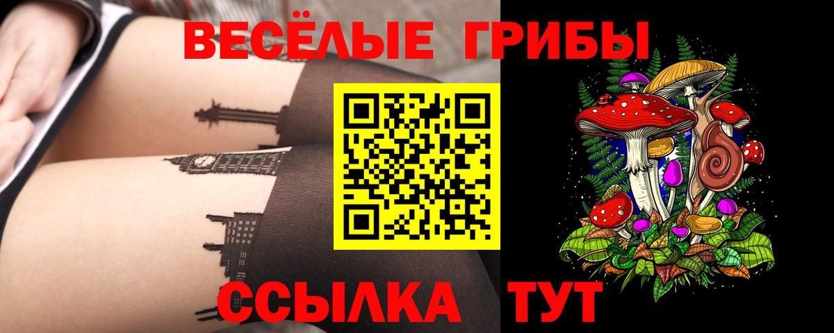 Псилоцибиновые грибы мухоморы Полевской